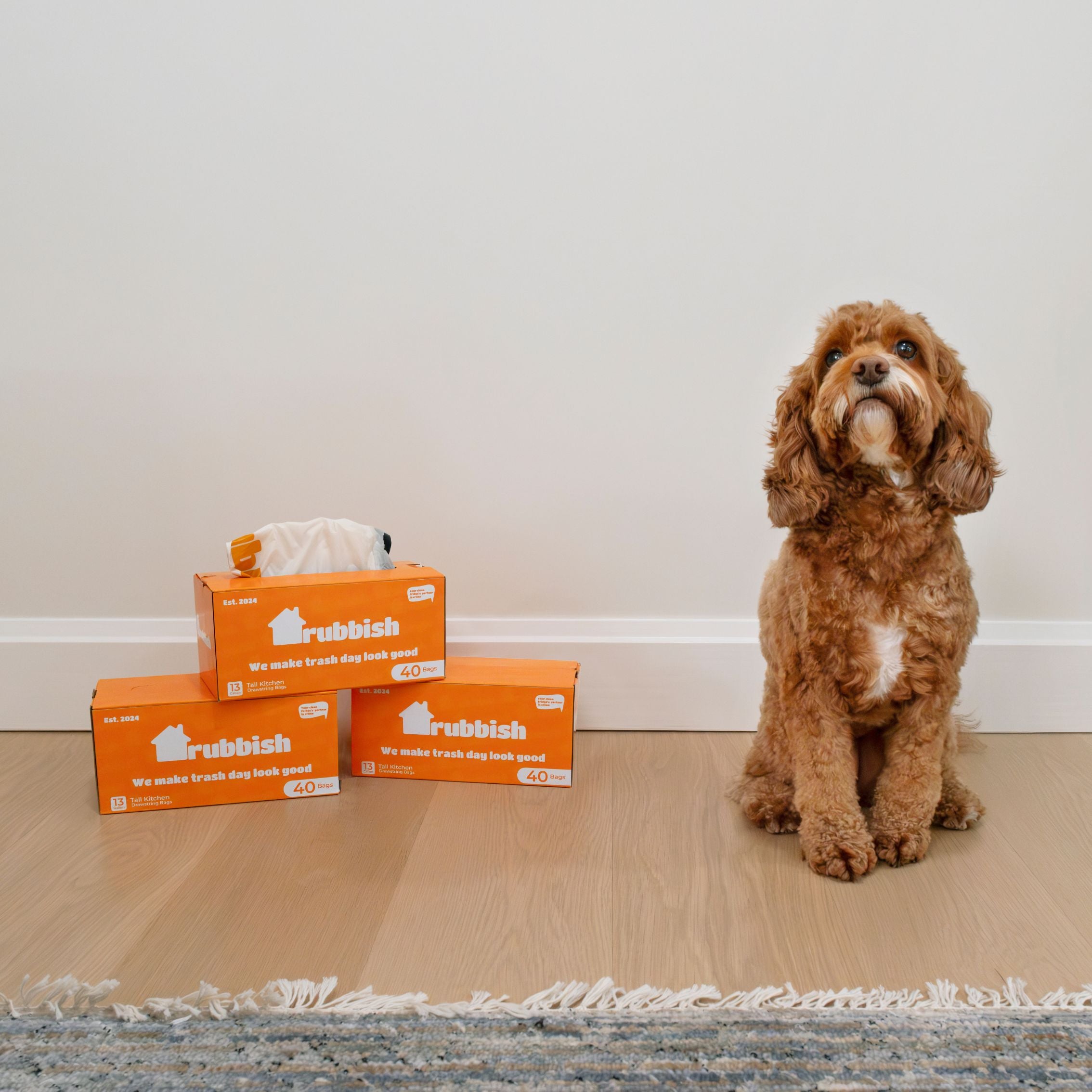 Rubbish Home trash bags - dog sitting next to boxes